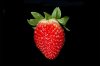 300px-Strawberry_BNC.jpg