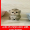 1740187955602.png