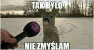 1756776662299.png