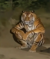 1758172934410.png