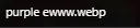 1792991999499.webp