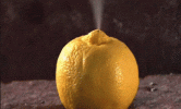 fireworkfruit.gif