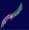 1650257981964.png
