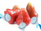 bellfruit.png