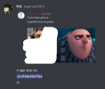 kocik.png