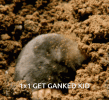 1695048233451.gif