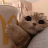 1714016248361.png