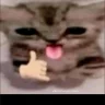 YandereWurt