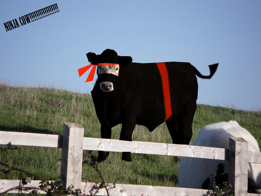 ninja_cow_by_nebbzangelsinferno-d2yx9bw.jpg