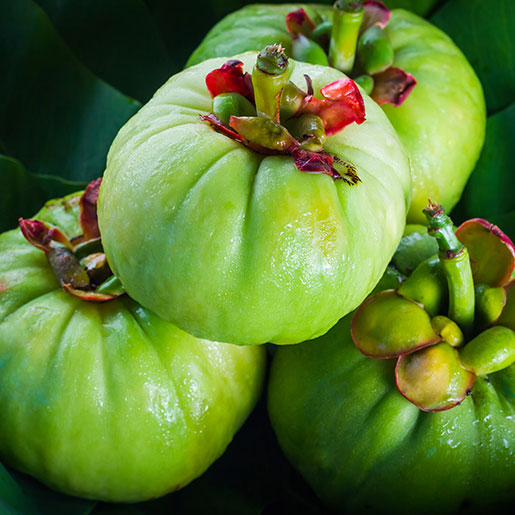 garcinia-cambogia-thinkstockphotos-488273982-square.jpg