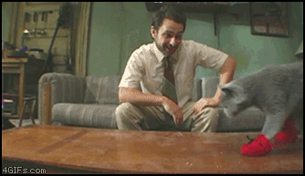 8292012020026pussinboots.gif