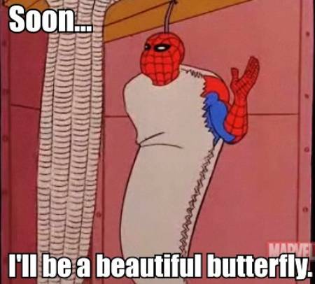 spidey-meme-butterfly.jpg